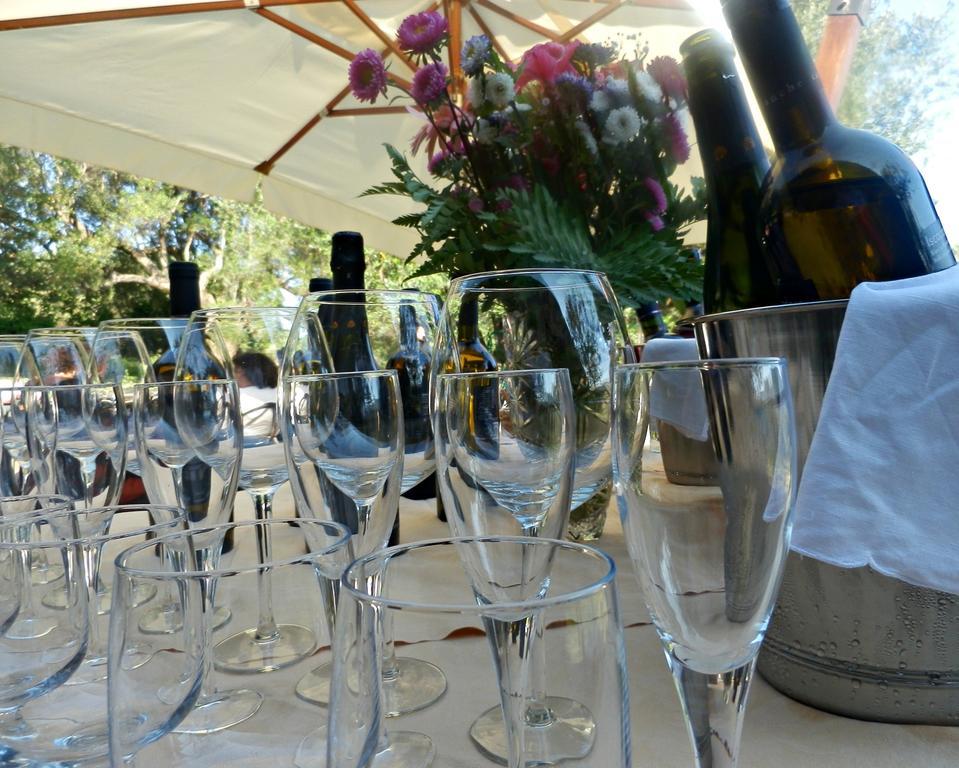 Tenuta Terre Di Bosco Oasi Di Relax Nel Cilento San Giovanni a Piro Zewnętrze zdjęcie