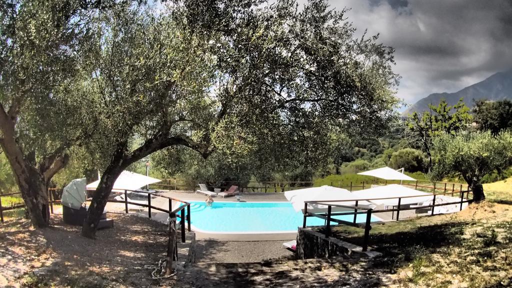 Tenuta Terre Di Bosco Oasi Di Relax Nel Cilento San Giovanni a Piro Zewnętrze zdjęcie