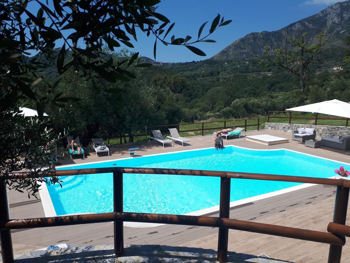 Tenuta Terre Di Bosco Oasi Di Relax Nel Cilento San Giovanni a Piro Zewnętrze zdjęcie